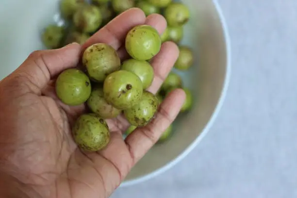 Aamla or aavala or Indian gooseberry