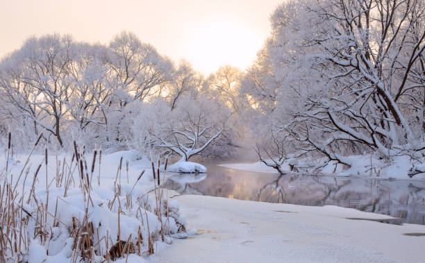 istock Winter landscape with calm forest river and snow covered trees 1367281436