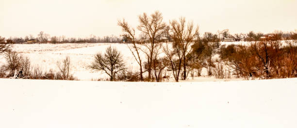 istock Cloudy winter december day Ukraine 1367284636