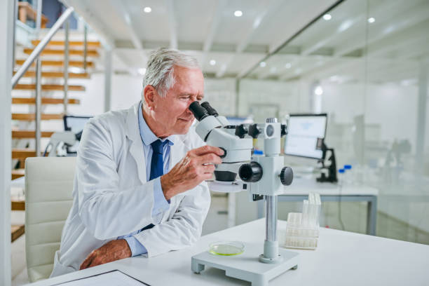 istock Shot of a senior scientist using a microscope in a lab 1367285154