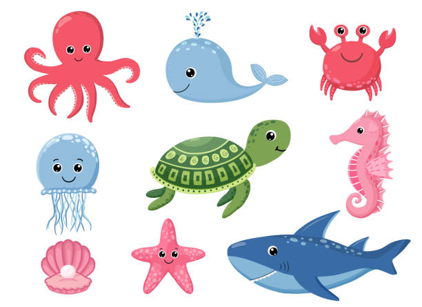 ilustraciones, imágenes clip art, dibujos animados e iconos de stock de animales marinos de dibujos animados. lindos peces oceánicos, pulpos, tiburones y tortugas, medusas, cangrejo y foca. conjunto de ilustración vectorial de criaturas de vida silvestre submarina - jellyfish sea green underwater