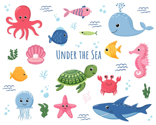 만화 바다 동물. 귀여운 바다 물고기, 문어, 상어와 거북이, 해파리, 게와 물개, 물고기 수중 야생 동물 벡터 일러스트 레이션 세트 - sea life stock illustrations