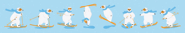 illustrazioni stock, clip art, cartoni animati e icone di tendenza di sci dell'orso polare, snowboard e corsa di fondo. concetto di sport invernale al di fuori del concetto - polar bear arctic animal snow
