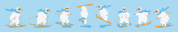 ilustrações, clipart, desenhos animados e ícones de esqui de urso polar, snowboard e corrida cross-country. fora do conceito de esporte de inverno - polar bear arctic animal snow