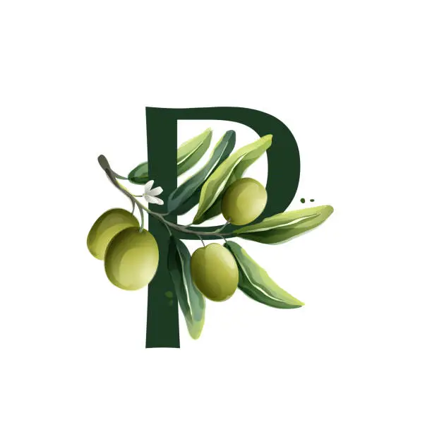 Vector illustration of P letter logo in watercolor style with olive branches.