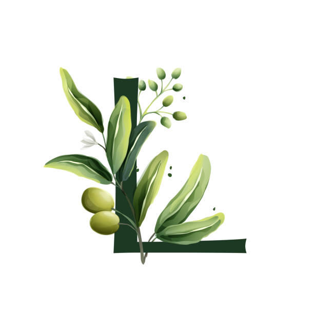 オリーブの枝と水彩スタイルのl字のロゴ。 - olive tree tree olive leaf点のイラスト素材／クリップアート素材／マンガ素材／アイコン素材