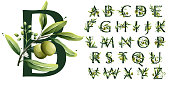 istock Alphabet in watercolor style with olive branches. 1367293018