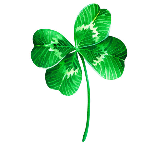 istock Four-leaf clover. St. Patrick's Day. Watercolor illustration. Isolated on a white background. 1367293973
