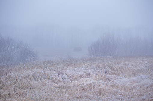 A calm and quiet winter morning in rural area. Snowy landscape of Northern Europe.