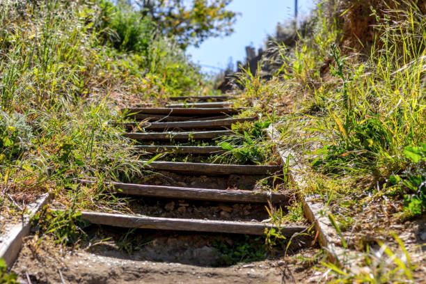 istock Old wooden stairs leading up. 1367296098