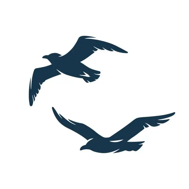 Vector illustration of Seagull in the sky for nautical marine design