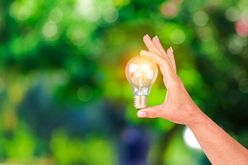 Close up view of a hand holding a glowing light bulb shot against defocused lush foliage green background. Focus on foreground