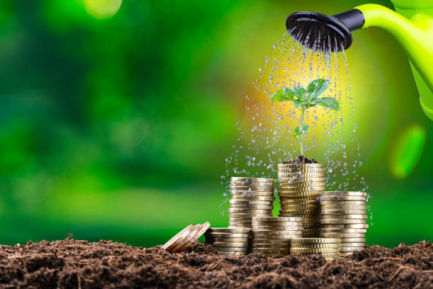 Watering plant on money stack stock photo
