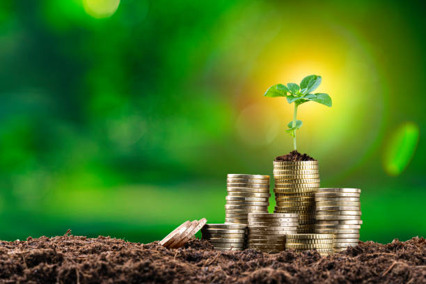 istock Small plant growing on coin stack. Financial growth concept 1367307651
