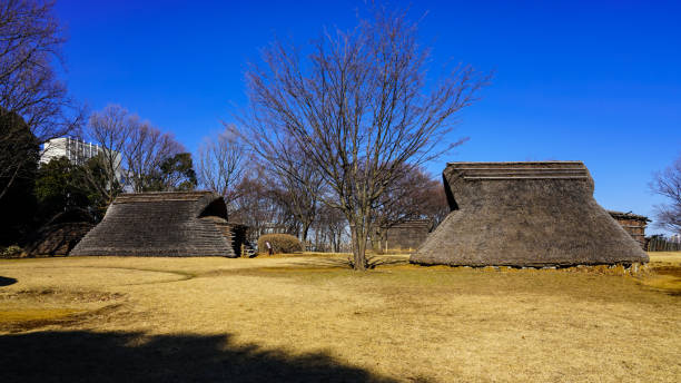 Pit-house dwelling in the Yayoi period Otsuka Saikachi Ruins Park (Yokohama City, Kanagawa Prefecture, Kohoku New Town) On a sunny day in January 2022, I went to the Kohoku New Town district, which was created in the inland area of Yokohama City.
We took a walk through the Otsuka / Saikachido Ruins Park, which is a large park based on the Otsuka Ruins and Saikachido Ruins discovered along with the land reclamation. pithouse ruins stock pictures, royalty-free photos & images