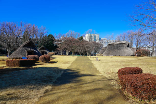 Pit-house dwelling in the Yayoi period Otsuka Saikachi Ruins Park (Yokohama City, Kanagawa Prefecture, Kohoku New Town) On a sunny day in January 2022, I went to the Kohoku New Town district, which was created in the inland area of Yokohama City.
We took a walk through the Otsuka / Saikachido Ruins Park, which is a large park based on the Otsuka Ruins and Saikachido Ruins discovered along with the land reclamation. pithouse ruins stock pictures, royalty-free photos & images