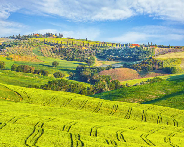 istock Landscape in Tuscany 1367312879