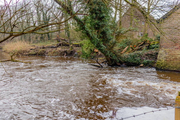 istock Fast flowing water in the Leubeek river with branches, tree trunks, climbing plants, bare trees and brick walls 1367313297