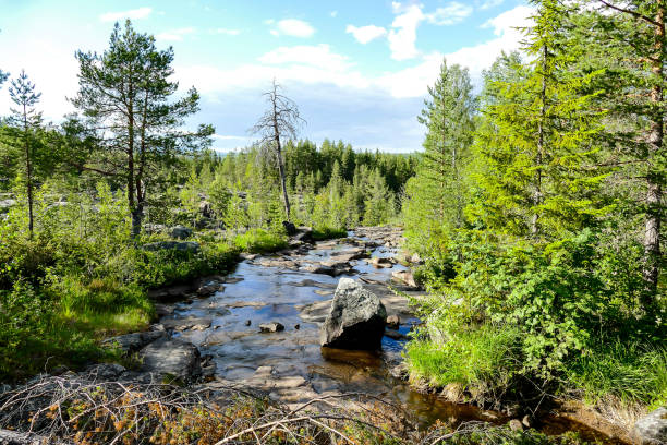 istock Ristafallet Waterfall park in sweden, 1367314593