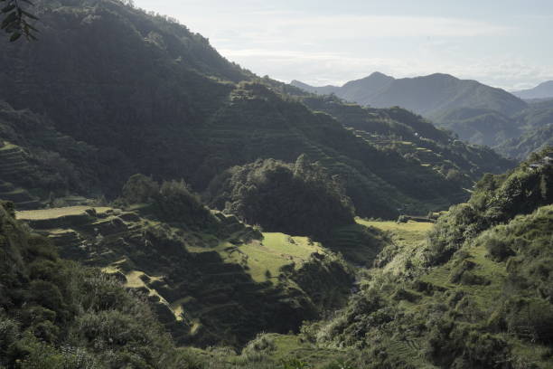 istock Rice Terraces of Ifugao 1367316127