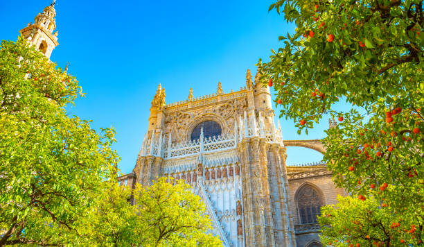 vista soleada de la catedral de sevilla y la torre de la giralda, españa - seville sevilla santa cruz city fotografías e imágenes de stock