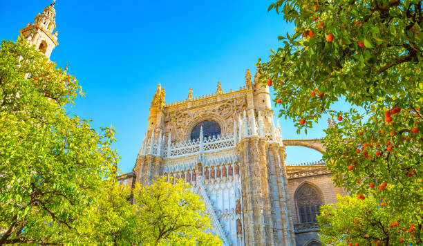 vista ensolarada da catedral de sevilla e torre de giralda, espanha - seville sevilla santa cruz city - fotografias e filmes do acervo