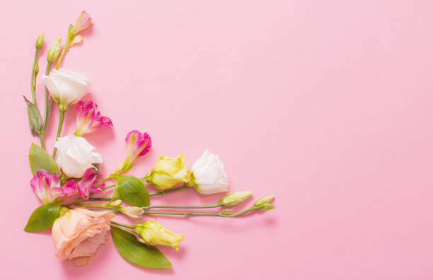 istock spring beautiful flowers on pink background 1367319972