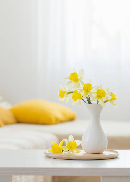 весенние цветы в вазе на современном интерьере - daffodil flower yellow vase стоковые фото и изображения