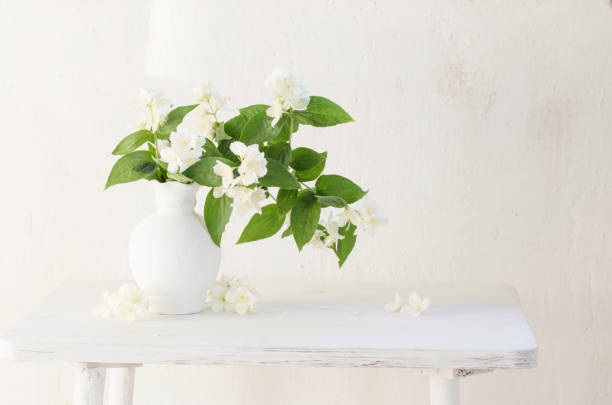 istock jasmine flowers in ceramic vase on white background 1367320037