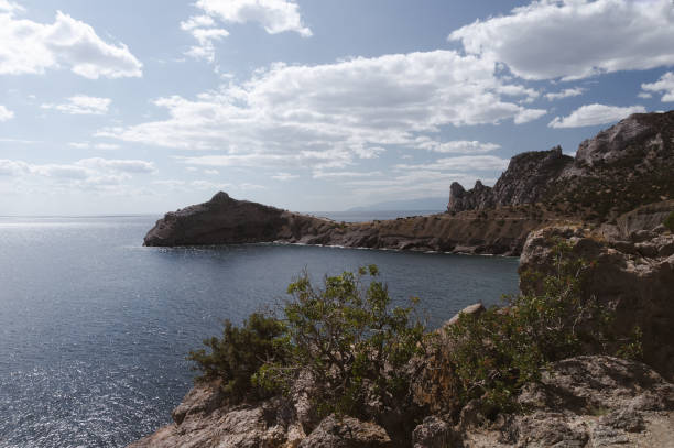 istock rocks and trees on the Black Sea coast 1367320154