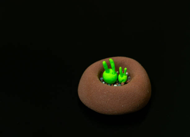 Polymer clay plants and animals: cacti, succulents,
