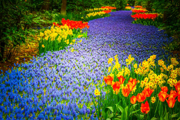 istock fresh lawn with flowers 1367322841