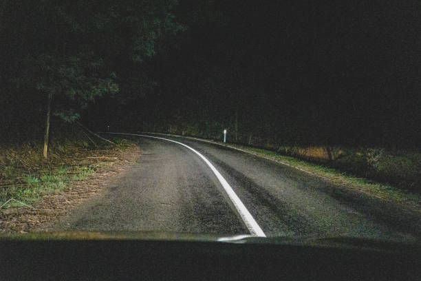 istock Driving through a forest in Australia at night. 1367323058