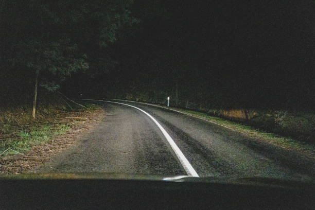 Driving through a forest in Australia at night. stock photo