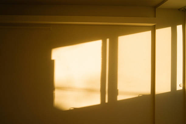 istock Room of the studio apartment sunset plug 1367324482