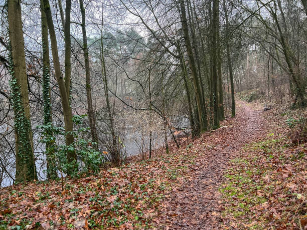 istock A path through a forest next to a lake in the town called 