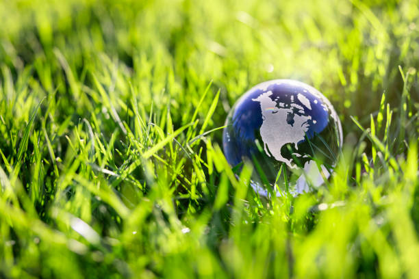 istock Glass globe in green grass renewable energy and sustainable development 1367326283