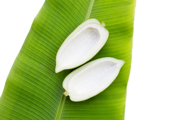 istock Green papaya on banana leaf 1367327093
