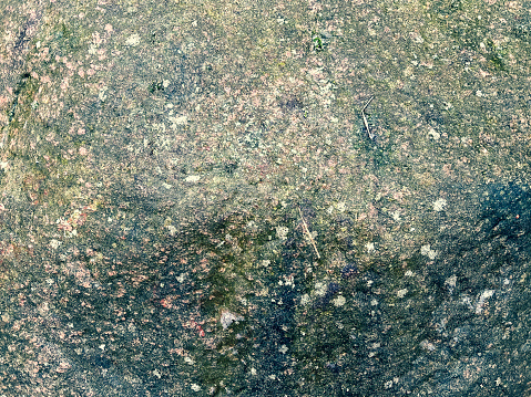 A wet, dirty and moss-covered stone.