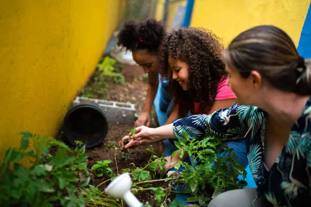 Photo of Students planting in the school's garden