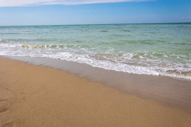 istock Amazing beach  with endless horizon .Soft wave of blue ocean on sandy beach. Background. 1367331171