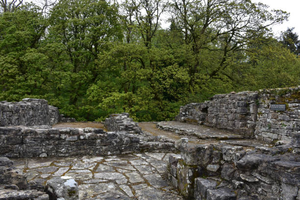 istock Old Stone Wall Ruins and Remains in England 1367332148