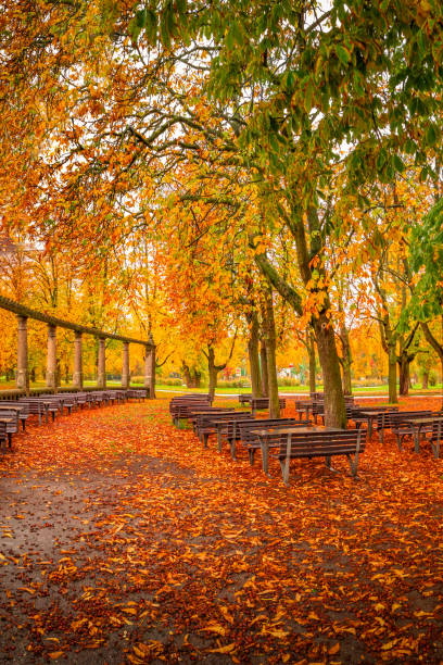 istock Lonely empty benches under old chestnut trees and old columns with fallen red and orange leaves in the city park in Autumn colors in rainy day, Magdeburg, Germany. 1367334577