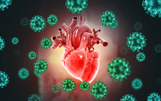 istock Medically accurate illustration of diseased liver. Virus infected liver. 3d illustration 1367336708