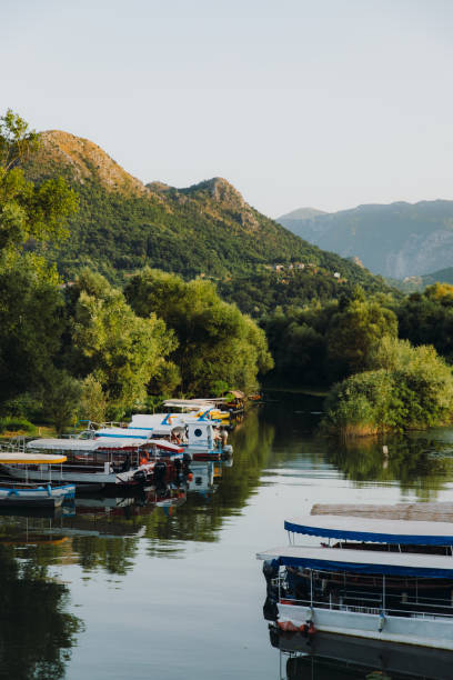 malerischer blick auf den sonnenuntergang über dem fluss mit booten und grünen hügeln im skadar lake national park, montenegro - motorboat fishing cruise ship dawn stock-fotos und bilder