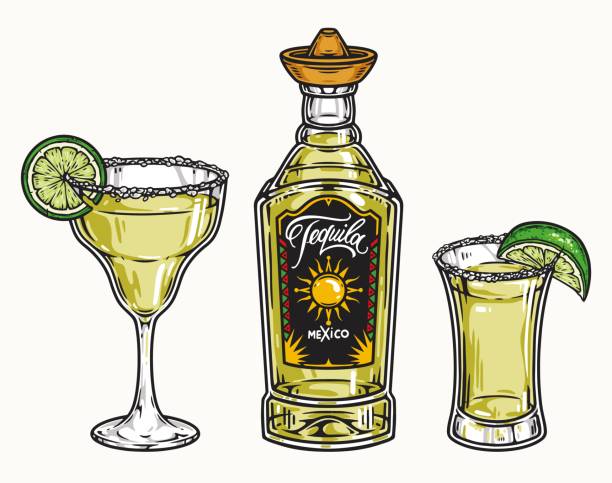 데킬라의 다채로운 음료 컬렉션 - shot glass mexican culture lime alcohol stock illustrations