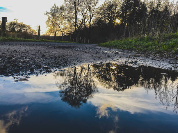 istock View of a path with a puddle of water next to a field. 1367340653