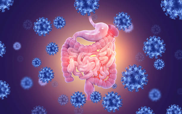 istock Human digestive system infected by virus or bacteria. 3d illustration 1367341485