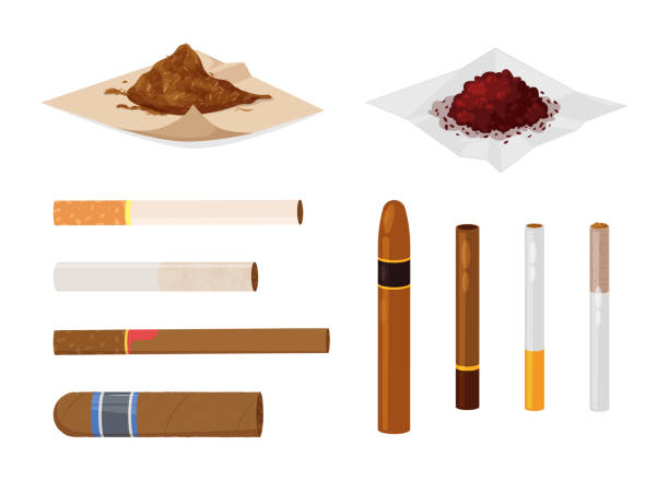 ilustrações de stock, clip art, desenhos animados e ícones de smoking tobacco, bad habits set. cigars, cigarettes, cigarillos, rolls in paper. - tobacco cigarette tobacco product rolling