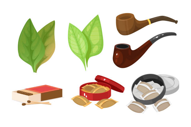 ilustrações de stock, clip art, desenhos animados e ícones de smoking tobacco, bad habits set. tobacco hookah, vape with smoke steam. - snuff box